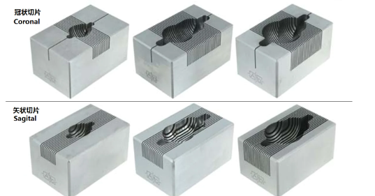 腦模具150-300G大鼠，冠狀，0.5MM